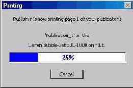 Печать в Microsoft Publisher