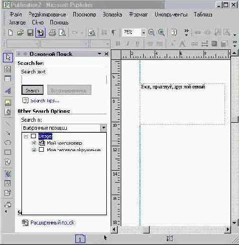 ��������� �1 Microsoft Publisher (II)