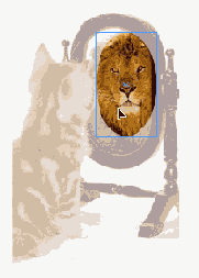 ���� �� ��������� ������ ����