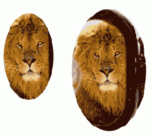 ����������� � ������� ��������������