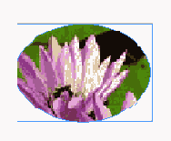 ����� �������� ������� ����� ����������