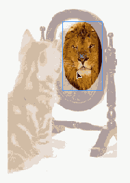 �������������� �����������