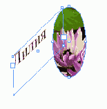 ���������� ��������