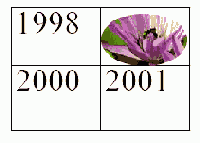 ���������� �������