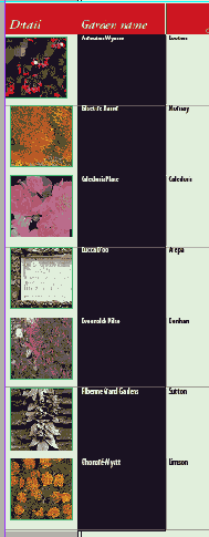 ���������� ������ ����� � ������ � �������