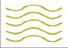 ��������� ����� �� ������