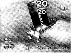 ������� ���������