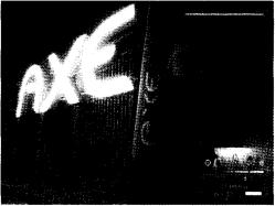 ������� ���������