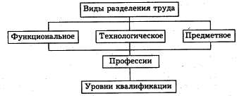 �e���� - ��o�o���a � Co��o�o��� �py�a