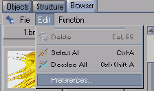 Для открытия окна Browser Preference