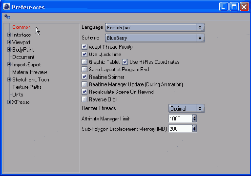 Общие параметры содержатся в категории Common
