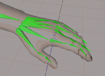 Кисть руки состоит из 20 костей