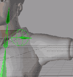 Кость плеча не должна исходить из вершины кости позвоночника