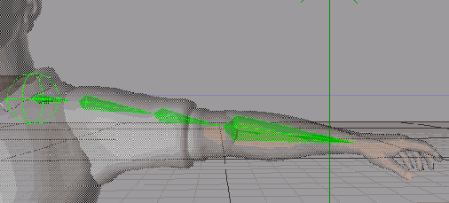 Кости образующие руку