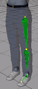Ногу составляют три кости