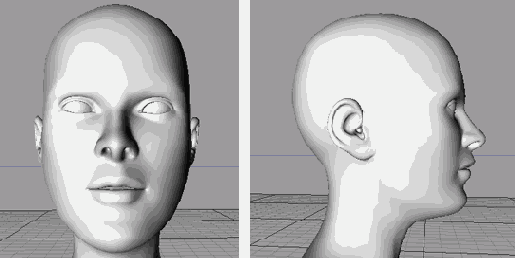 Женское лицо выглядит более мягким и гладким
