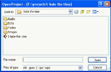 ���������� ���� Open Project