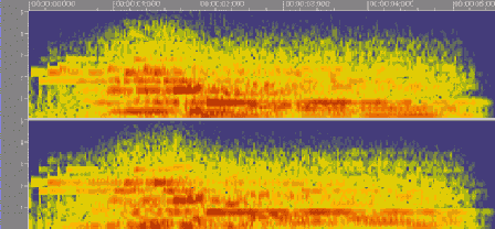 ��� ����� ���� ������������ �������� �����