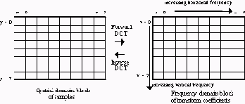 � ��������������� ������������: ��������� ����������� 