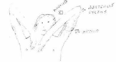 Позвоночник — опора дыхания