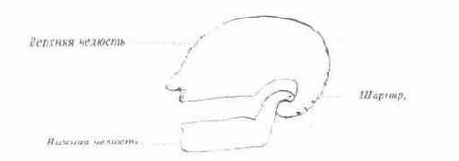 Звуковой канал