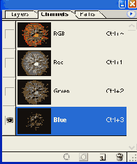 ����� ��������� �����������
