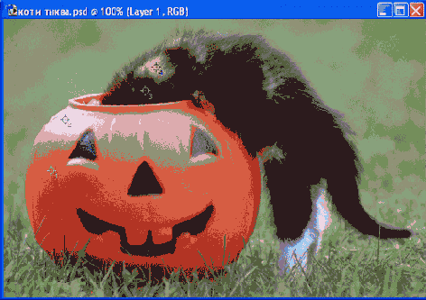 ������� � ������������