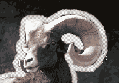 �������