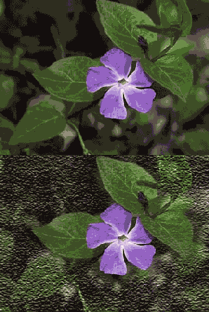 ������ ������