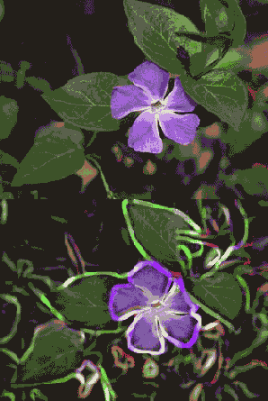 ������ ������