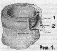 АзБука Владения Голосом голосом для болельщика