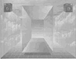 ��� ������� ���������� ����������� �����