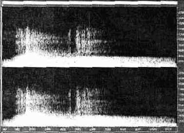 ���� View � ���������� ������������