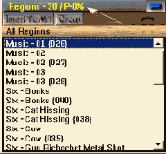 ����� Region Memory Caching