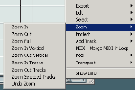 �������� ���������� � ���� Nuendo Project