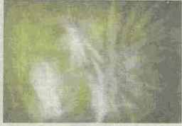 ����������� ���������������� �����������