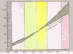 �������� �������� ����������������� ��������������