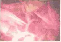 ���������� �. �. ��������