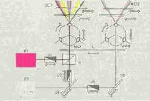 ���������� �. �. ��������