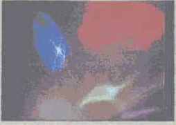 ������ ���������� � ������������ ����������