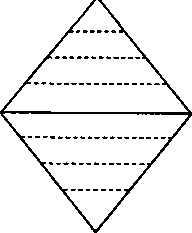 Луков - Социальное Проектирование