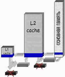 ������������� ����������� ����