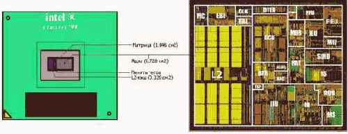 ���-���������� ����������� �����������