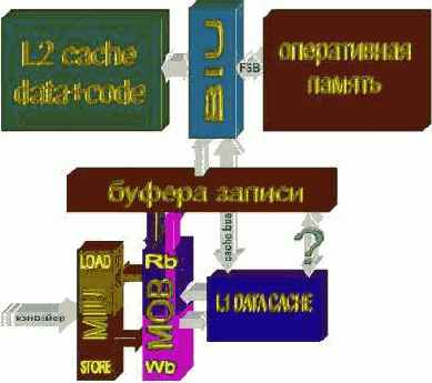 ���-���������� ����������� �����������