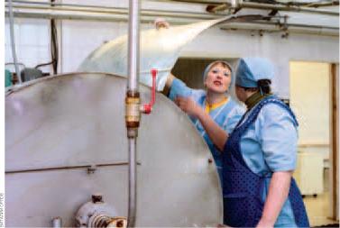 МАТВЕЕВА М. - КТО В МОЛОЧНИКИ пойдет?