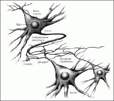 Взгляд внутрь