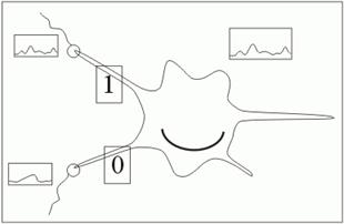Третий принцип нейроматики
