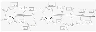 Третий принцип нейроматики