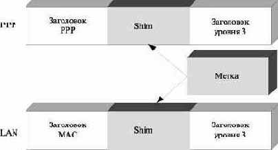 ������������ �����