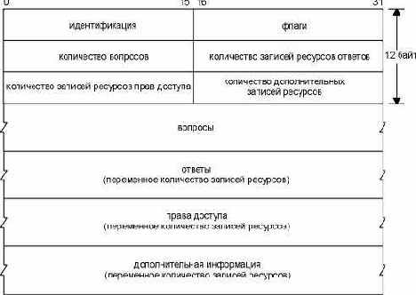 ����� ������ DNS ������� � ������.